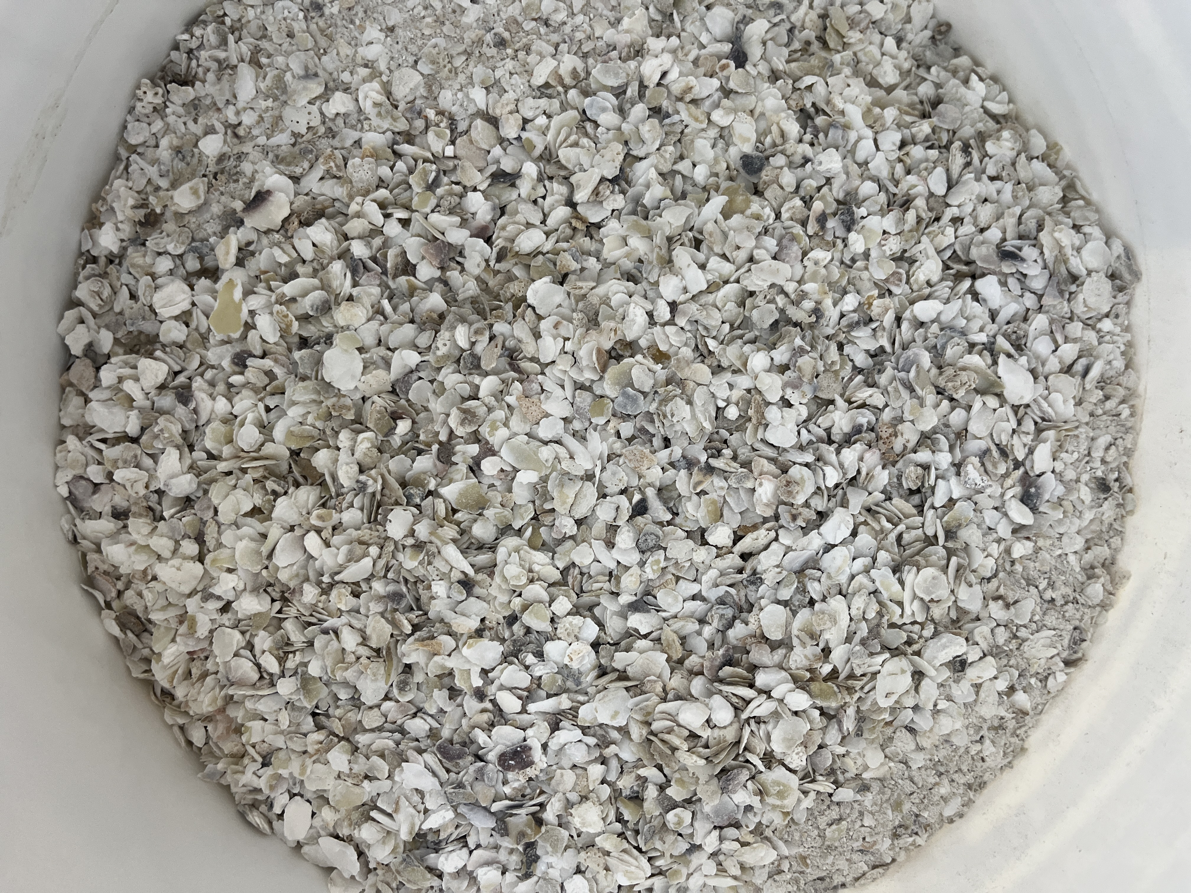 Fine Shell Material